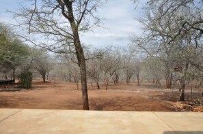 View from room - Villa ZaZu (Nkomazi)