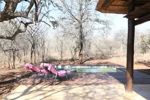A pool area with lounge chairs and a wooden deck.