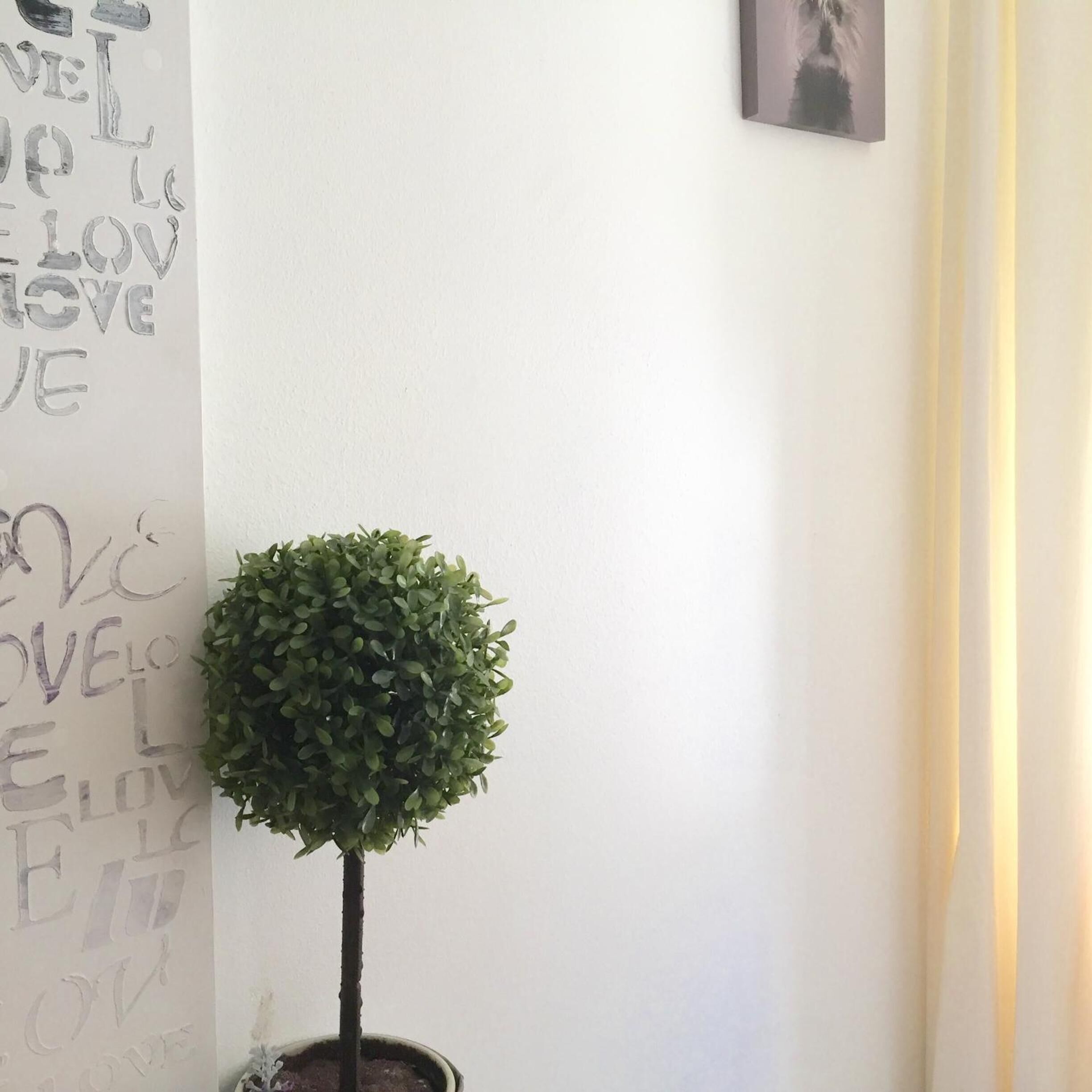 Foto - Linné Hostel