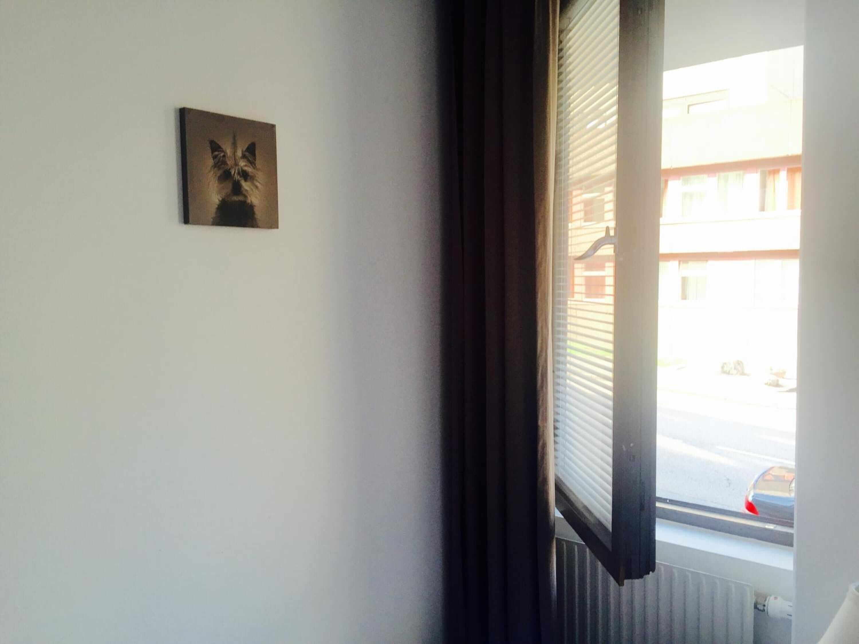 Foto - Linné Hostel