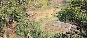 Terraced fields with dense vegetation and a small structure in the background. - Ayubo Ella - Bed & Breakfast (Ella)