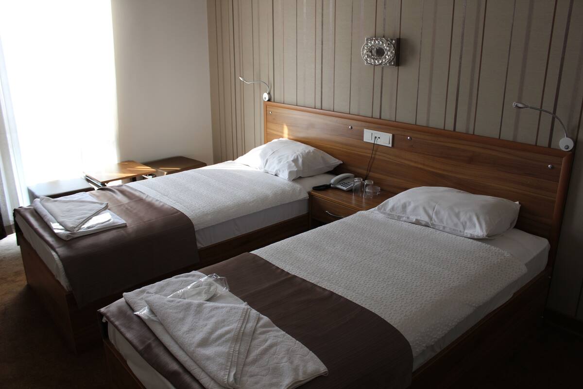 Two single beds with wooden headboards, a bedside table with a lamp, and a wall-mounted telephone.