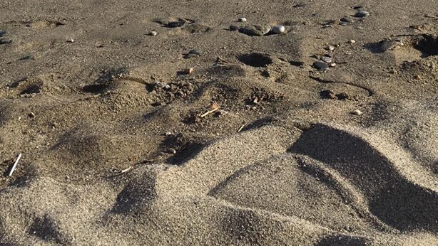 A beach with waves crashing onto the shore and a clear sky. - Hotel Internazionale (Finale Ligure)