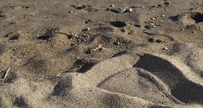 Hotel Internazionale