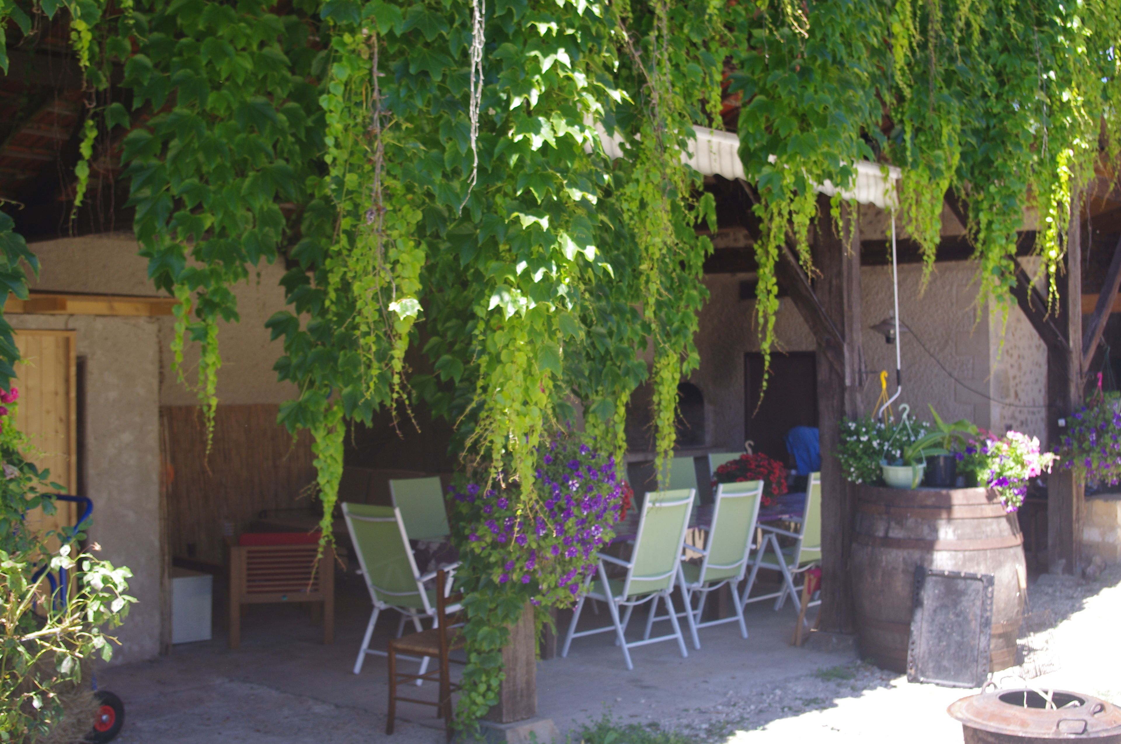Un espace extérieur aménagé avec des chaises et des tables, situé sous une pergola recouverte de plantes grimpantes.