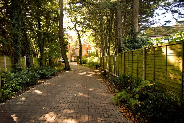 Garden view