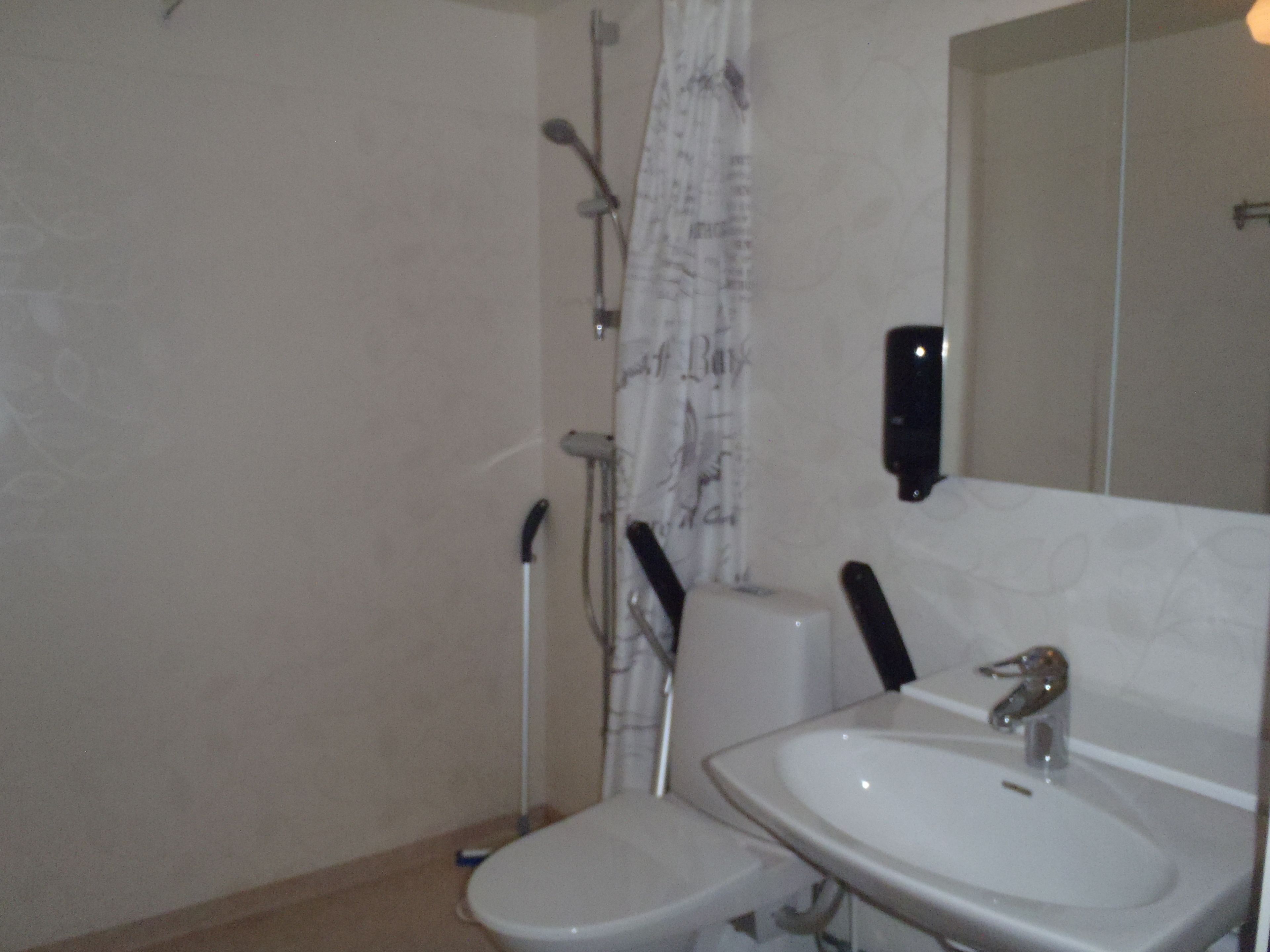 Une salle de bain avec des toilettes, un lavabo et une douche.