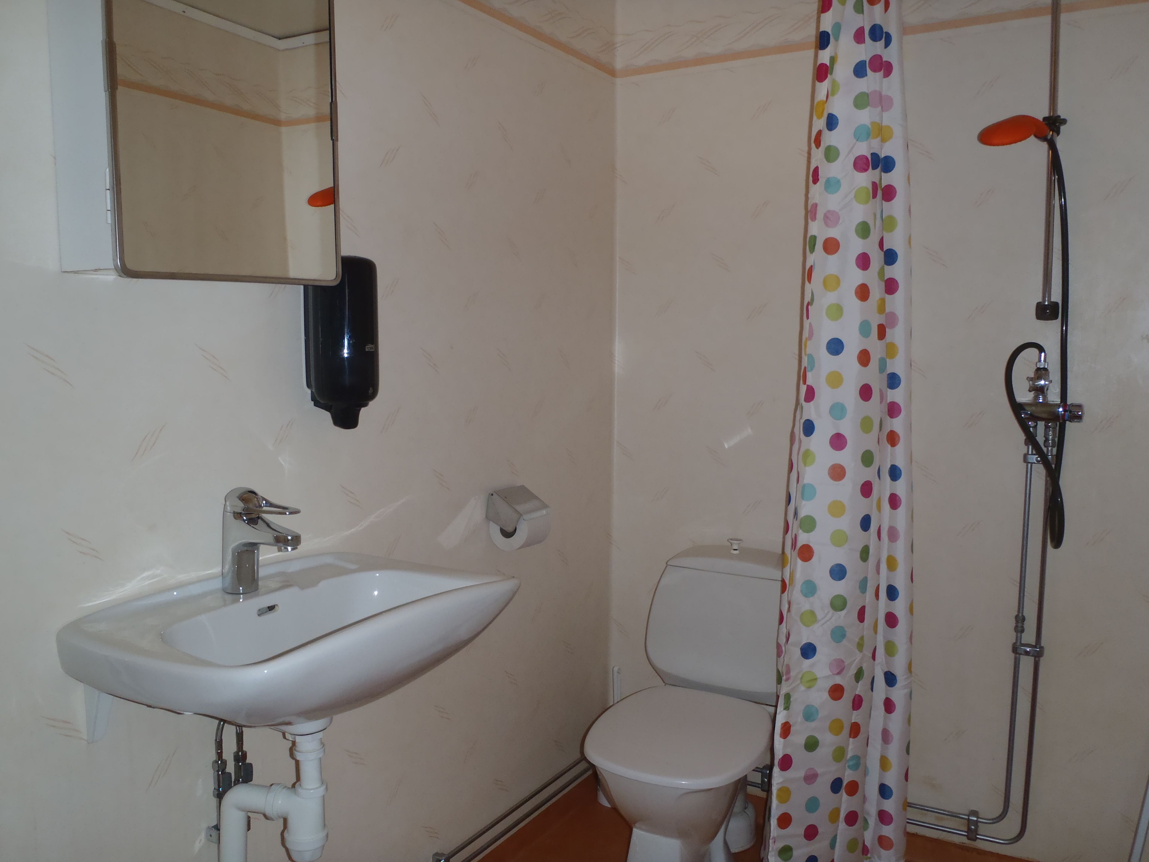 A bathroom with a sink, toilet, and shower.