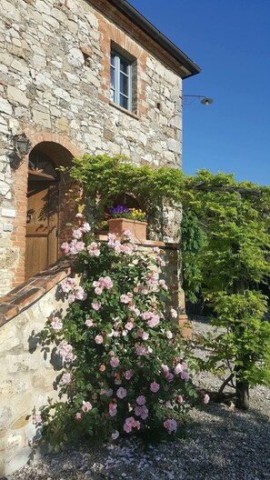 A stone building with a wooden door, a window, and a wall-mounted light fixture. - Agriturismo Podere Alberese (Asciano)