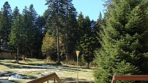 A wooden deck with a railing, surrounded by a forested area with tall evergreen trees. - Hotel Ela (Samokov)