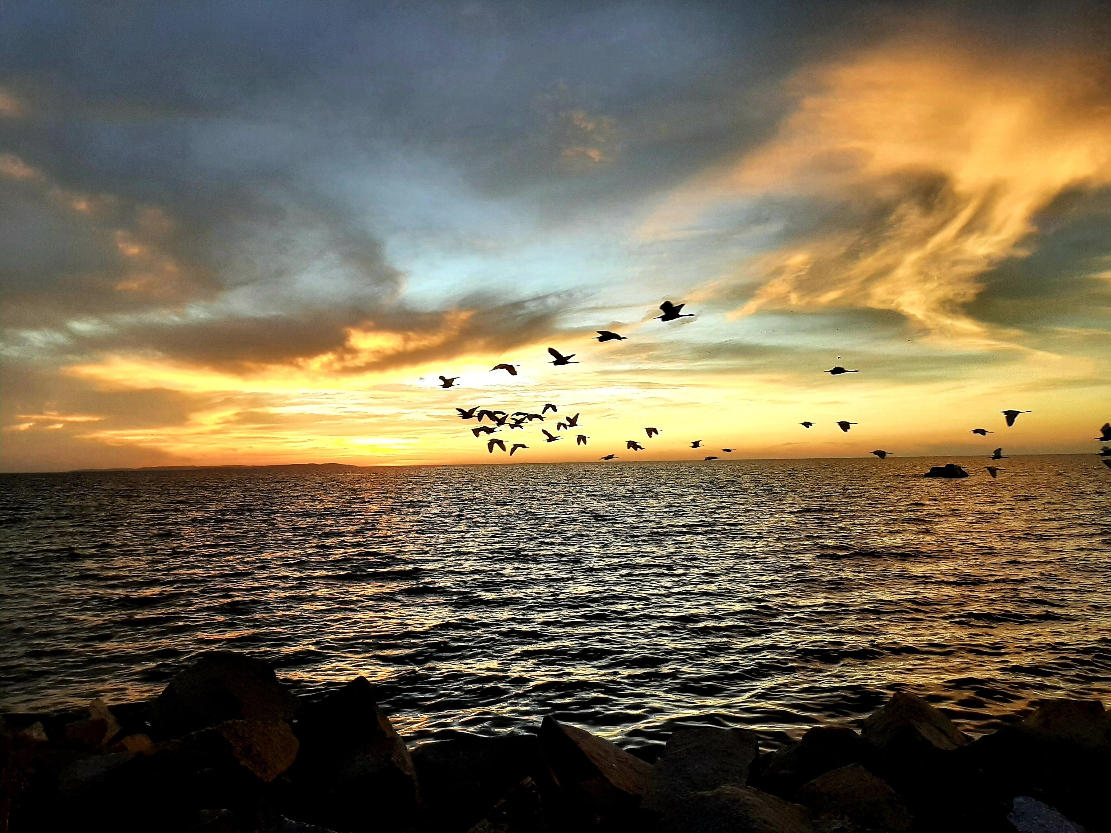 executive suite | view from room