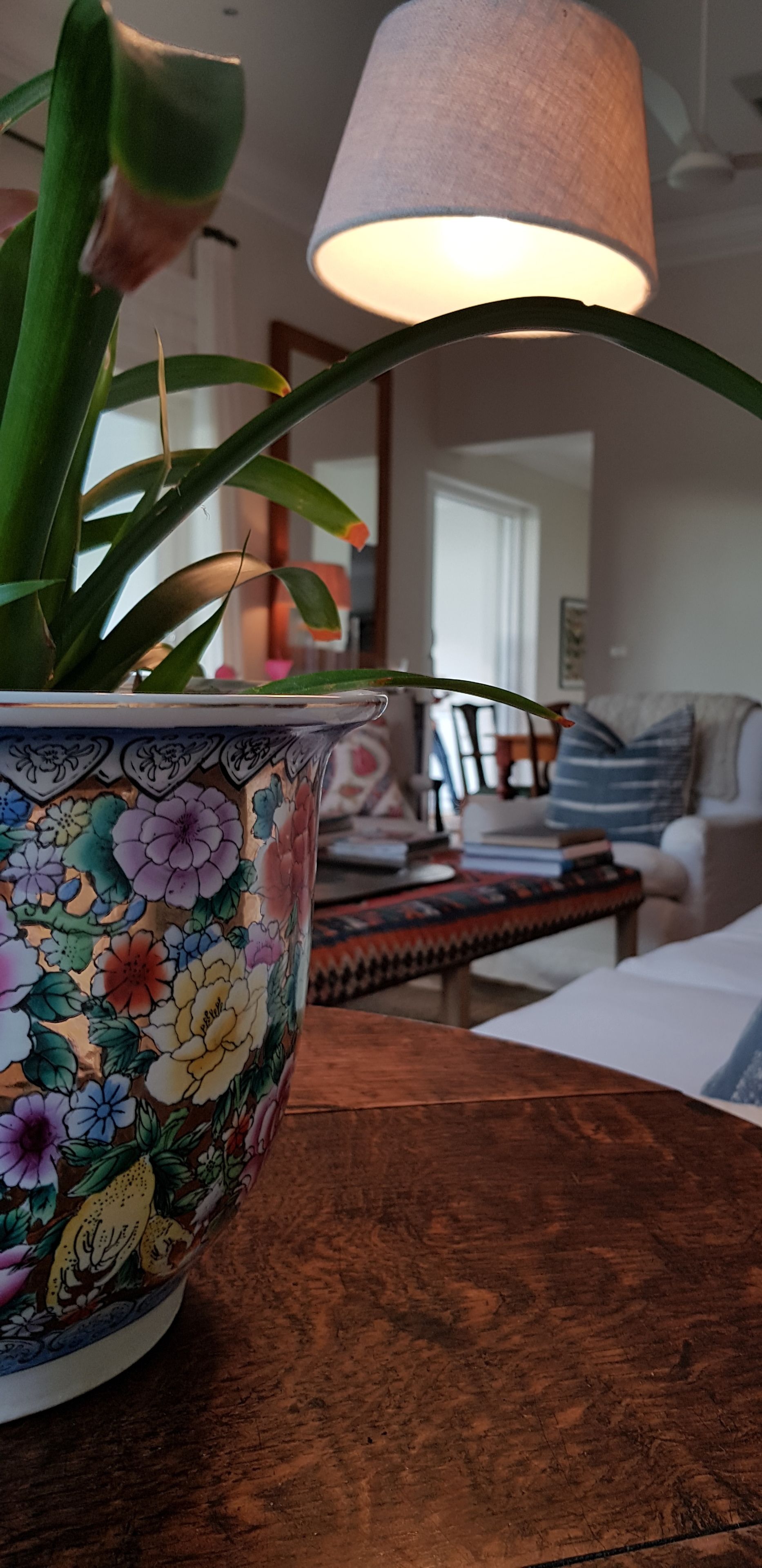 Foto - La Cotte House