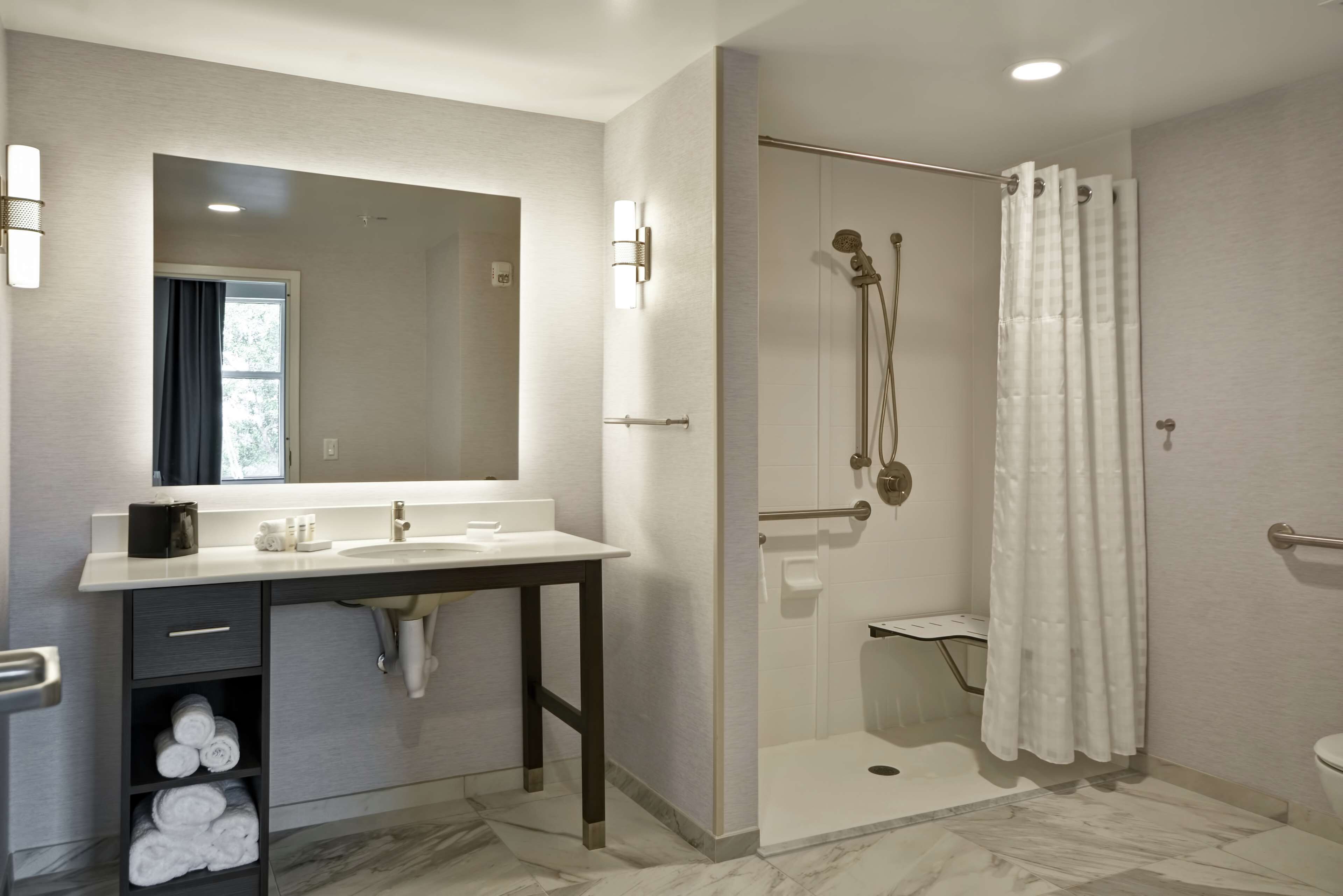 suite, 1 king bed, accessible (hearing, roll-in shower) | bathroom shower