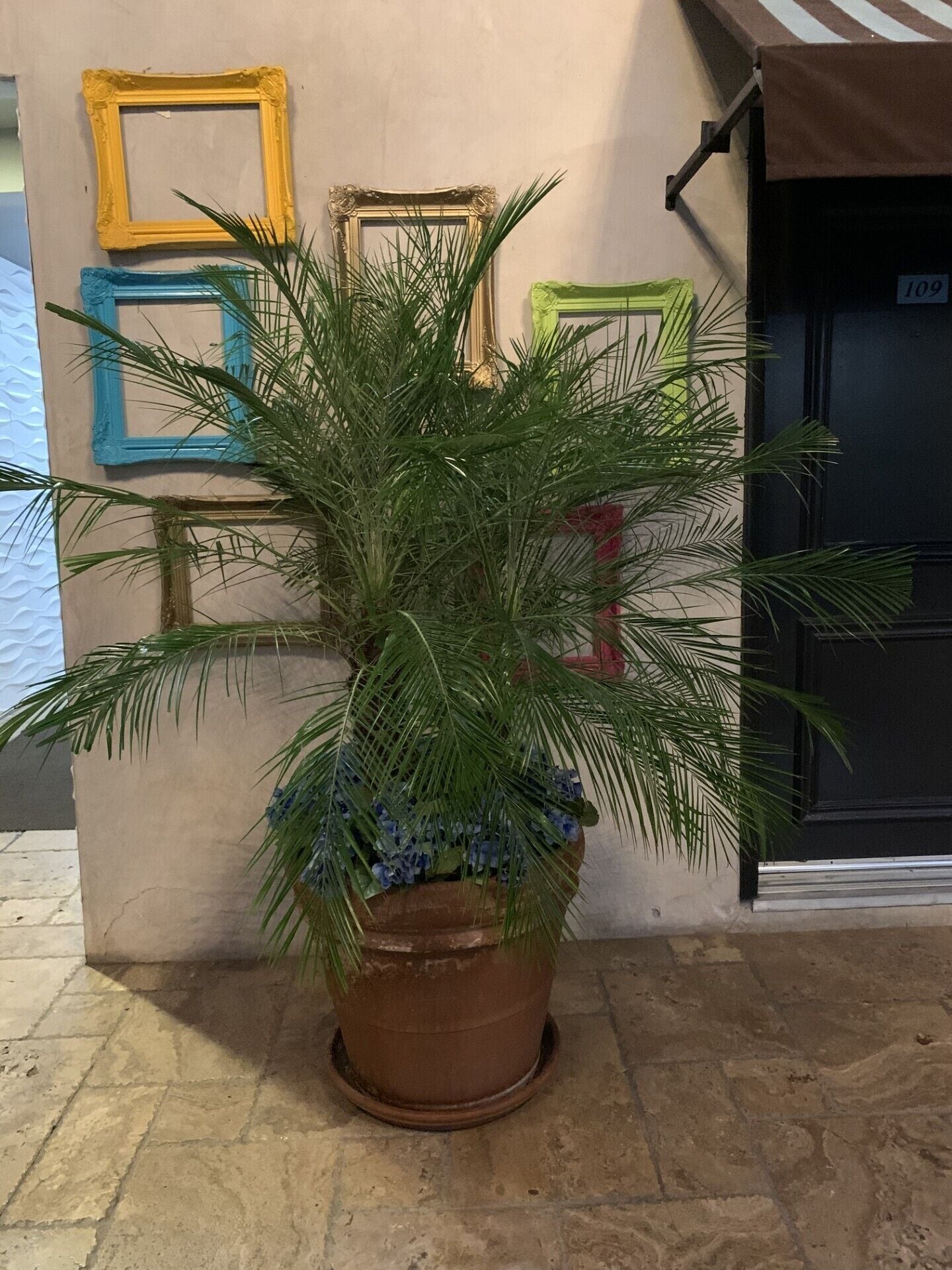 Foto - L.A. Sky Boutique Hotel