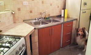 Classic-Haus, 2 Schlafzimmer | Eigene Küche | Großer Kühlschrank, Mikrowelle, Ofen, Herdplatte