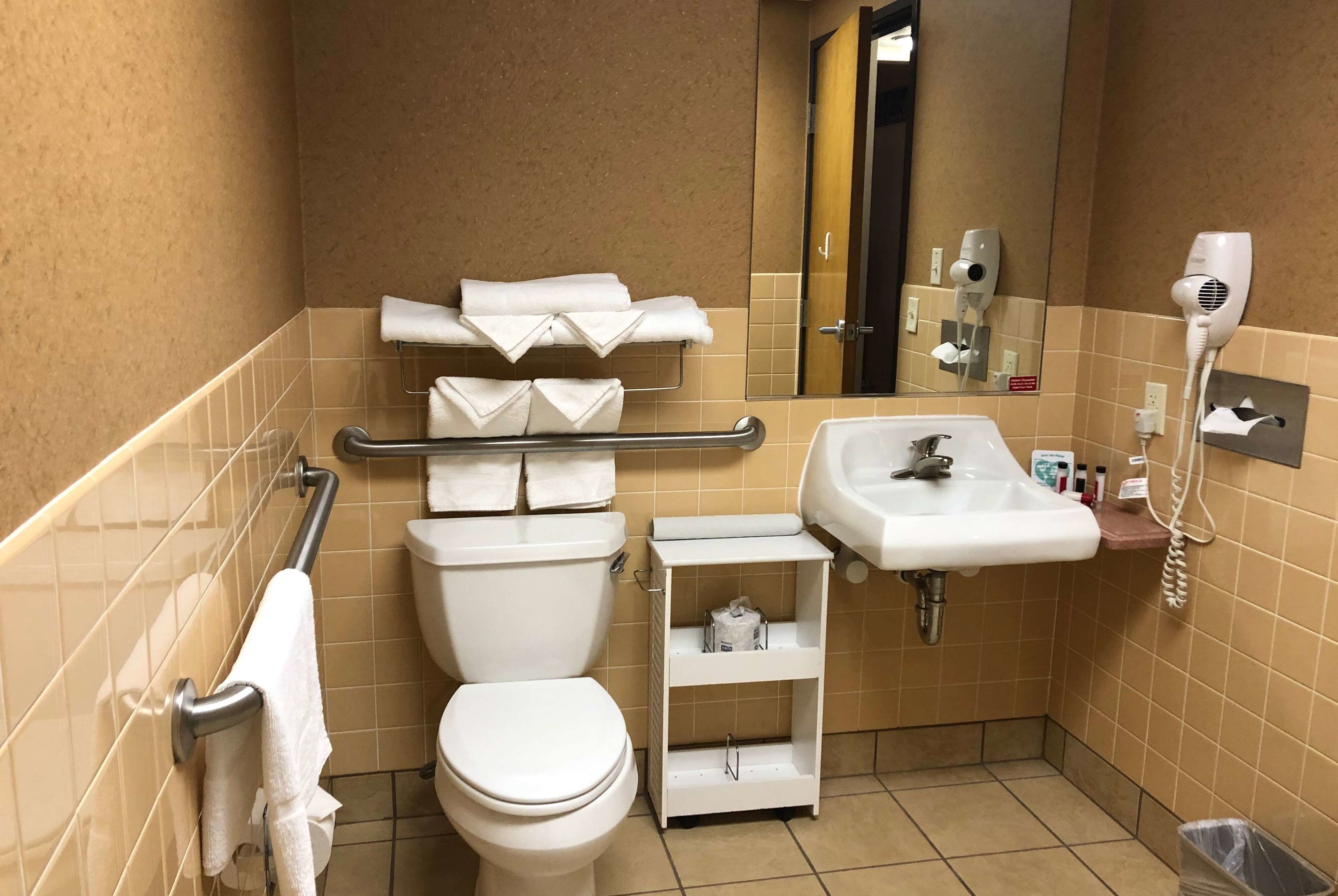 room, 1 queen bed, accessible, non smoking (non pet-friendly) | accessible bathroom