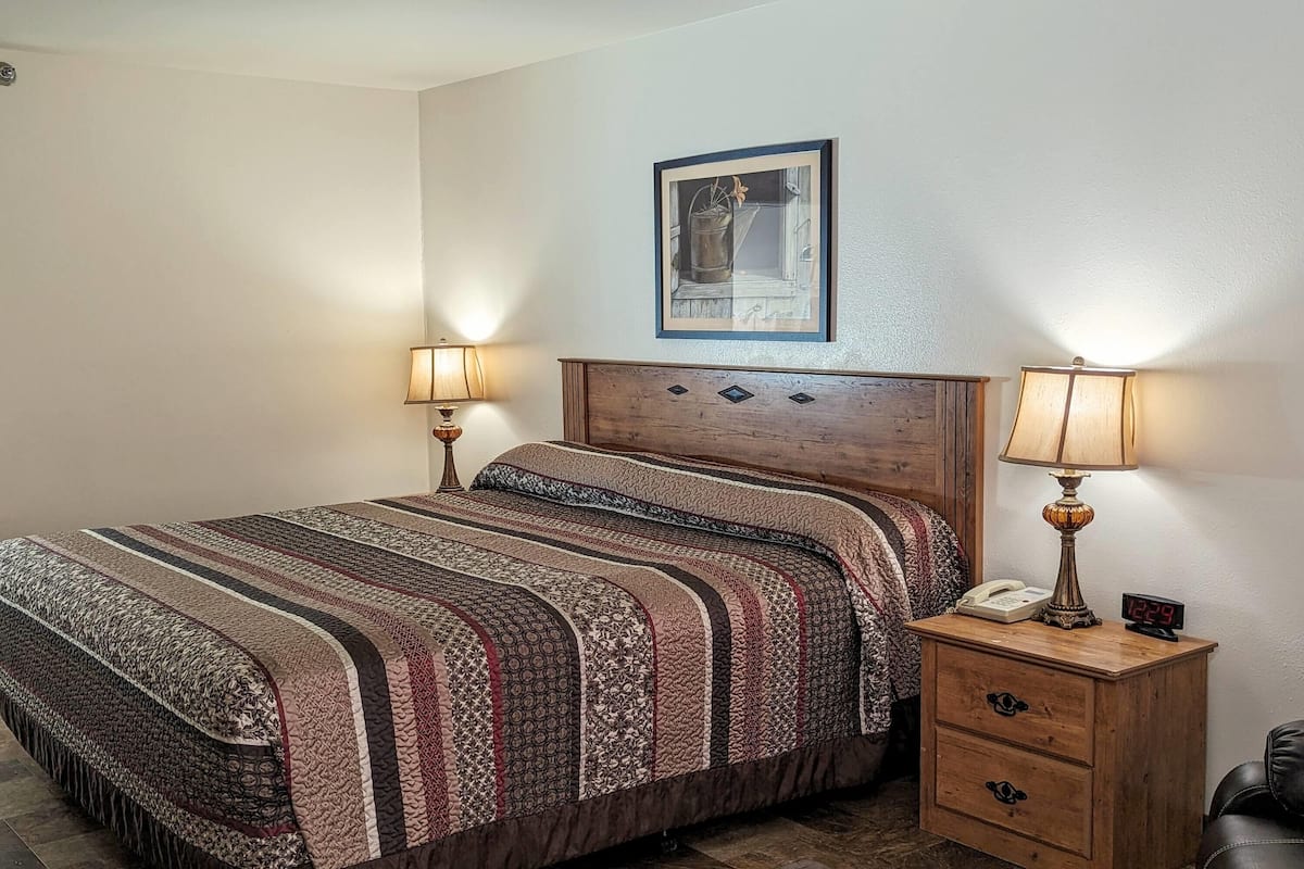 Room, 1 King Bed, Non Smoking (Pet-Friendly) | Desk, blackout drapes, iron/ironing board, free cribs/infant beds