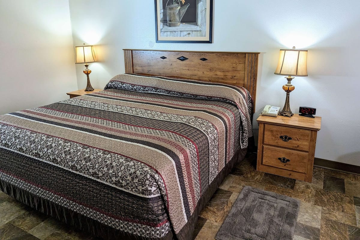 Room, 1 King Bed, Non Smoking (Pet-Friendly) | Desk, blackout drapes, iron/ironing board, free cribs/infant beds