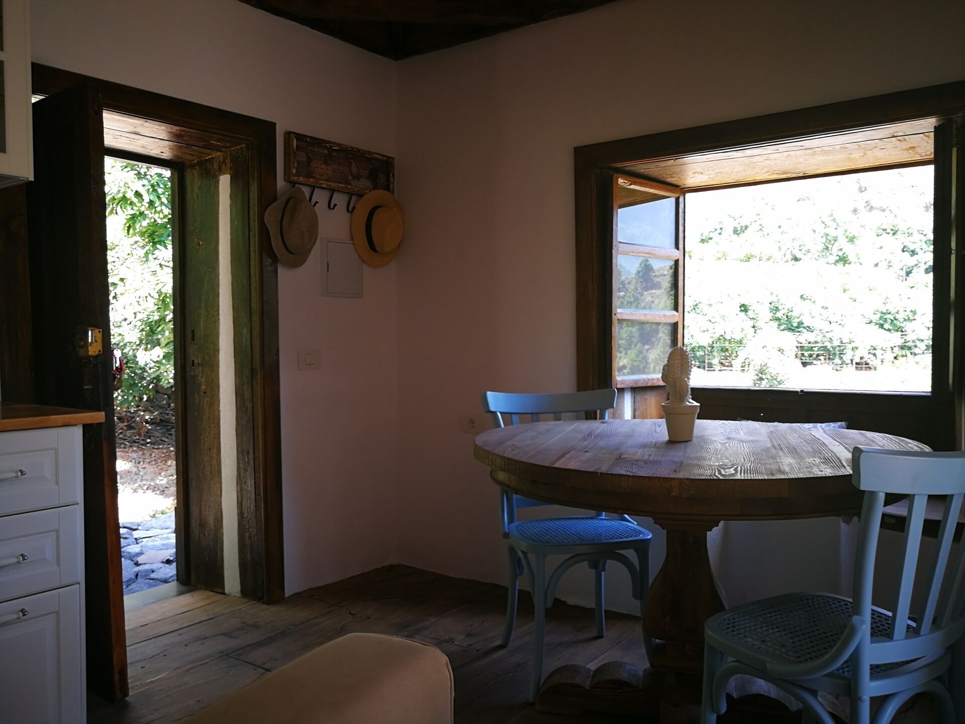 Un comedor con una mesa de madera, dos sillas y un cactus como centro de mesa.
