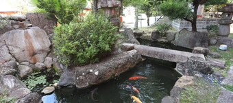 Hotel Sun Resort Shirahama