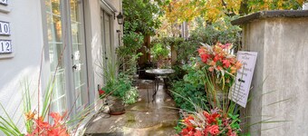 Northwest Nob Hill!  Free Parking! Walk to it all! 97 walk score 930 sqft roomy1