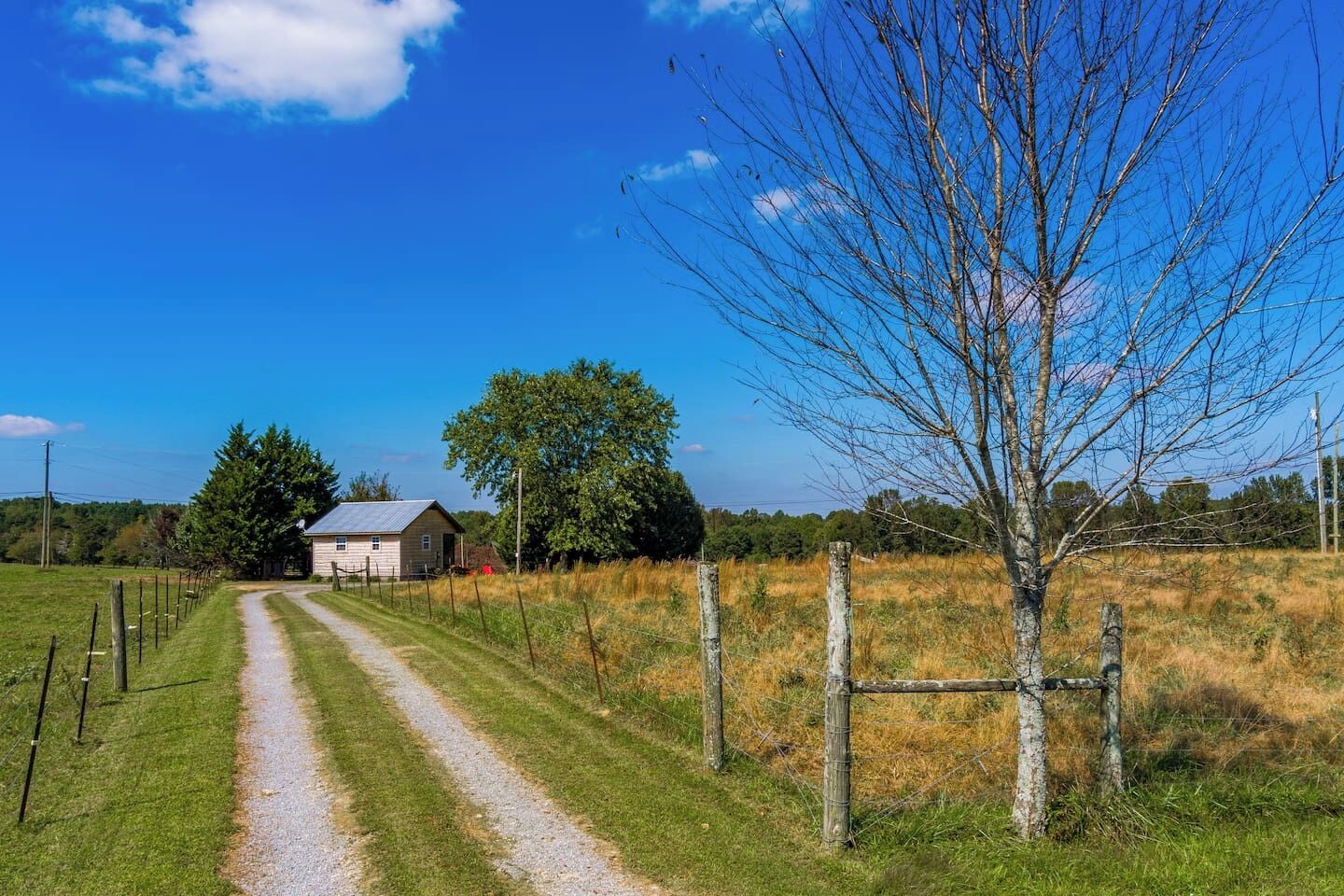 A rural setting with a gravel path leading to a wooden house, surrounded by fields and trees.