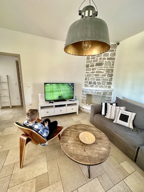 TV connectée, cheminée, jeux vidéo, lecteur de DVD