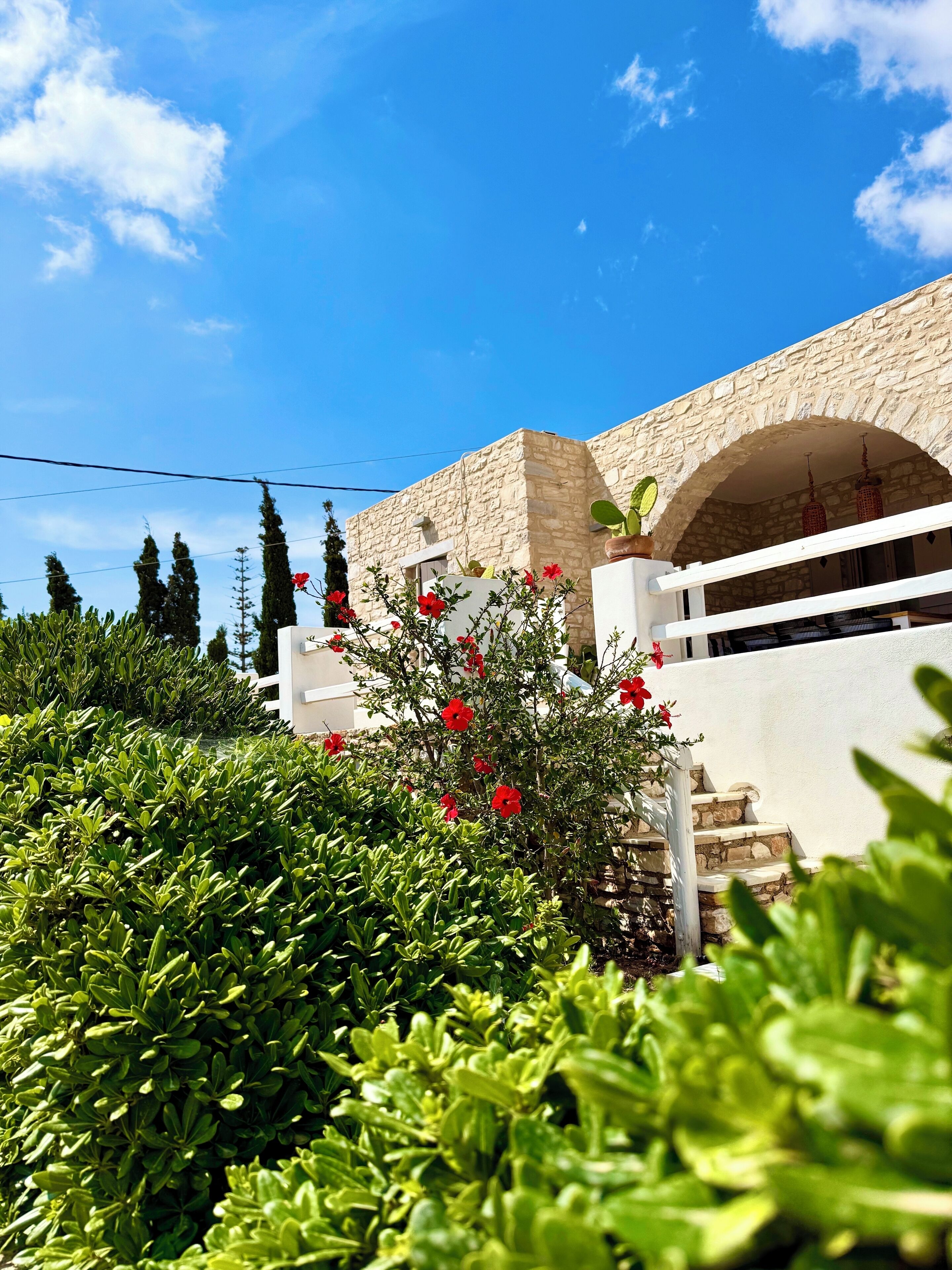 Jardines del alojamiento