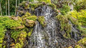 Een natuurlijke waterval, omgeven door weelderige begroeiing en een gebouw op de achtergrond.