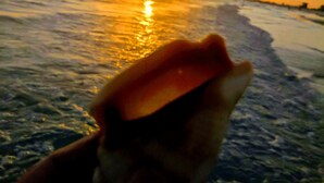 A sunset over the ocean with a hand holding a camera. - Lakefront 2 Bd+Den,2bth With Heated Pool Near Siesta Key! (Sarasota)