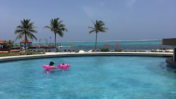 Relax by the pool surrounded by palm trees and the ocean.