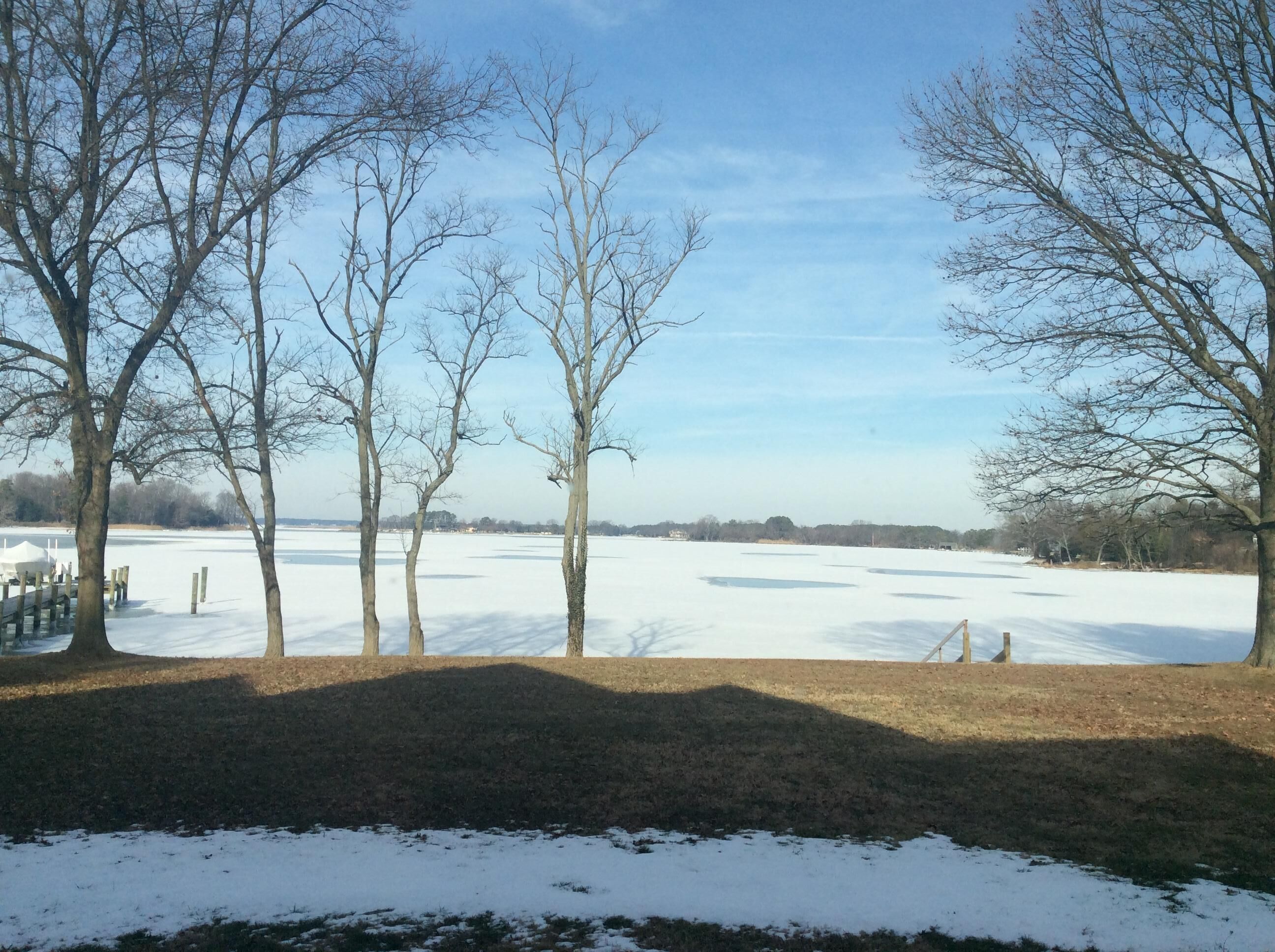 A snow-covered field with leafless trees and a clear sky.