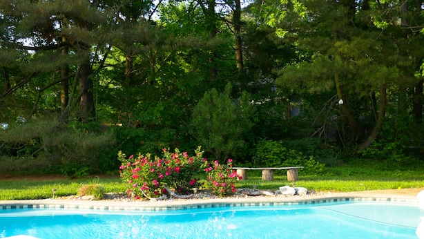 A swimming pool with a blue water surface, surrounded by a grassy area and trees. - Modern St Michaels estate -Pier, Pool, Gas fire pit, Bikes, Kayaks (Easton)
