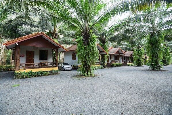 A row of small, single-story cabins with a gravel driveway, surrounded by lush palm trees.