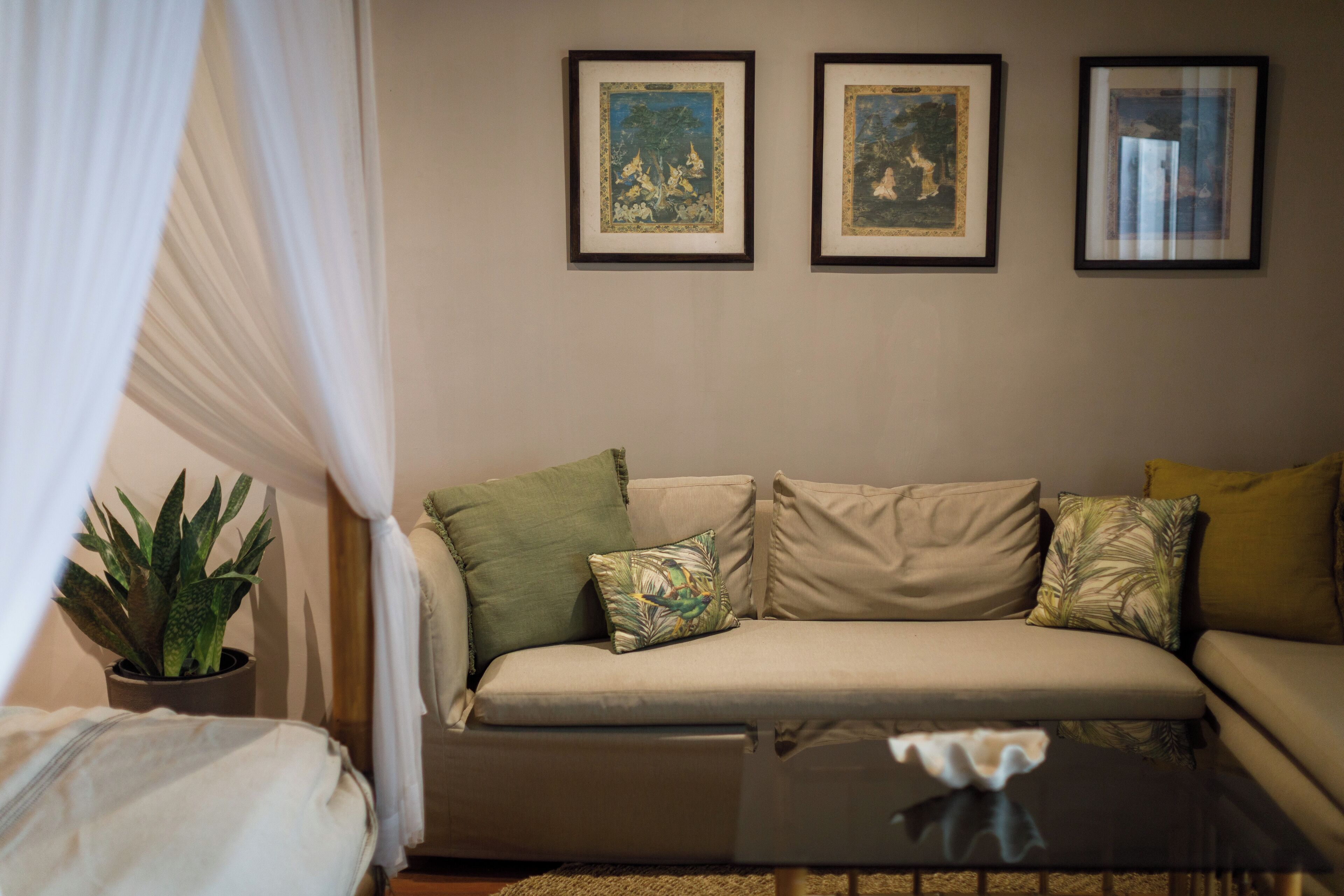 A living room with a sofa, a coffee table, and a potted plant. There are three framed pictures on the wall.