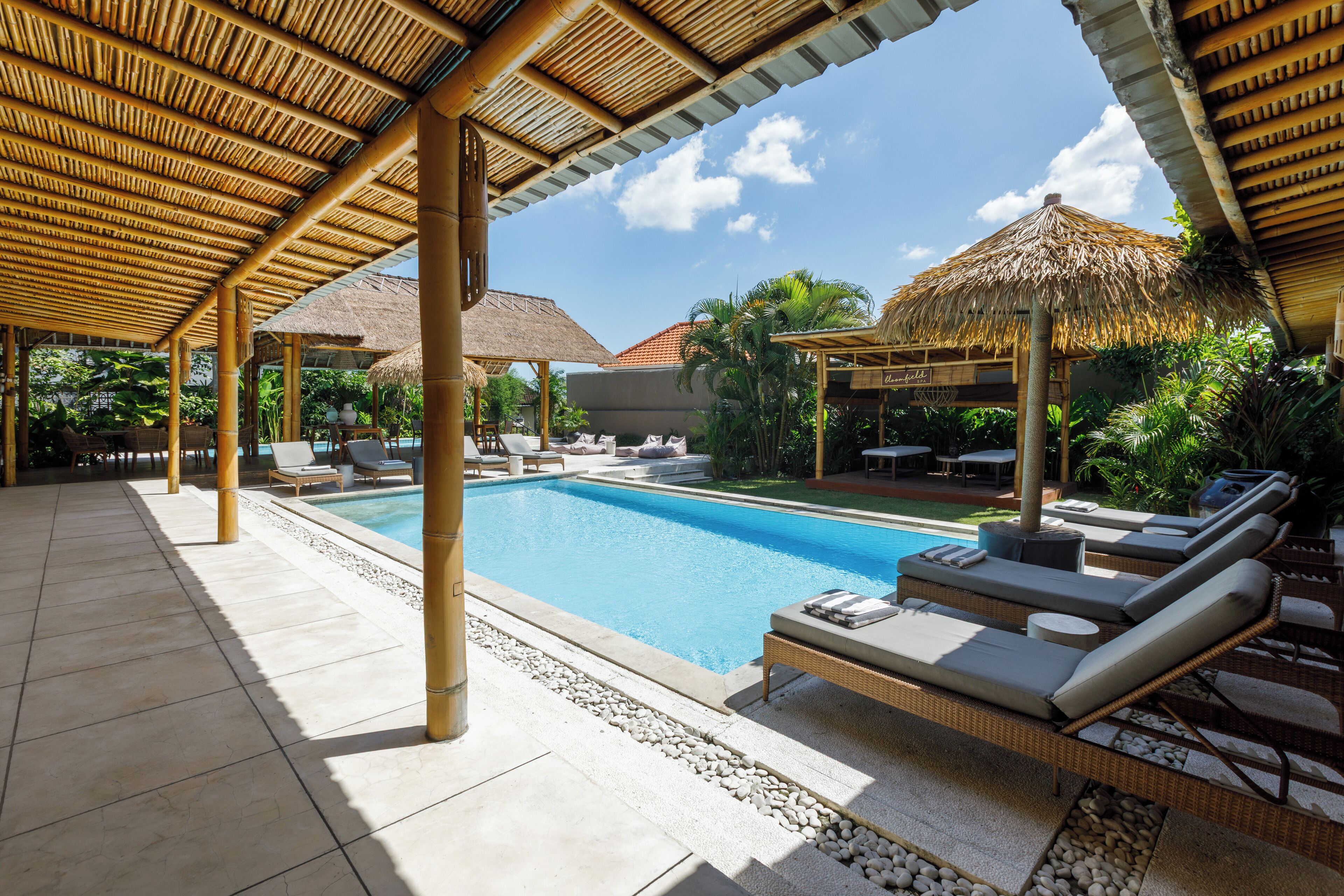 Outdoor pool, sun loungers