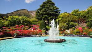 A fountain surrounded by lush greenery and colorful flowers, with a mountain in the background.