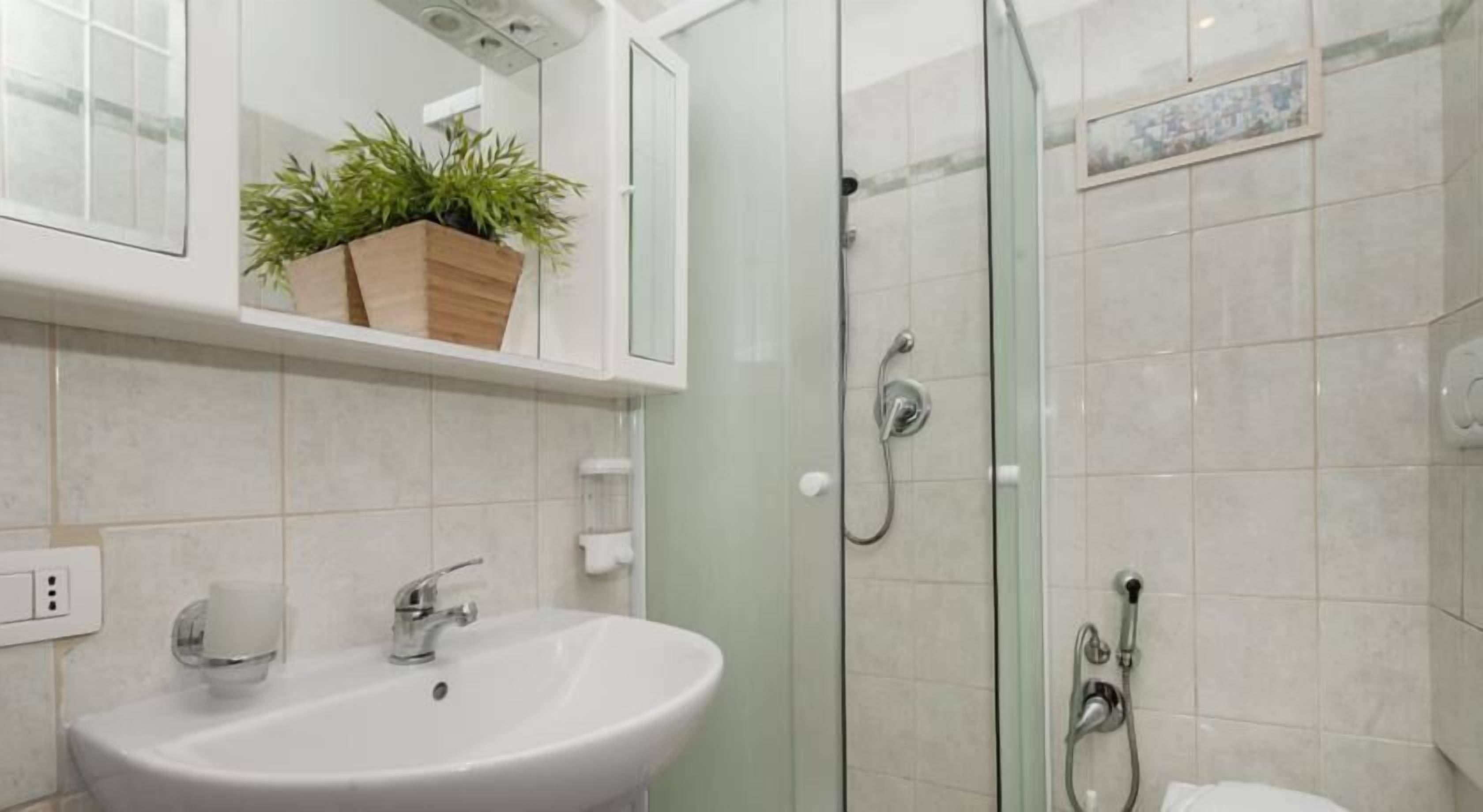 Un baño con lavabo blanco, cabina de ducha de cristal y una planta en maceta sobre una estantería.
