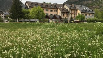 Un hotel con varias edificaciones, un campo de dientes de león en primer plano y montañas al fondo.