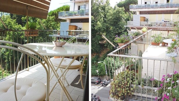 Property grounds - Romulus Rex (Rome)