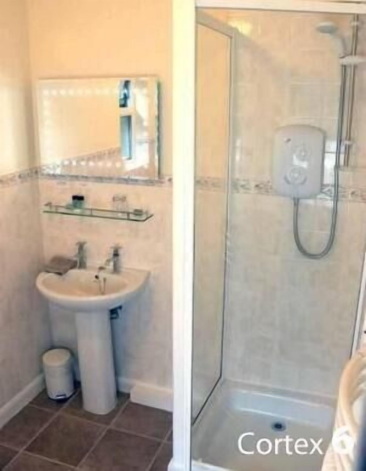 A bathroom with a sink, mirror, and shower.