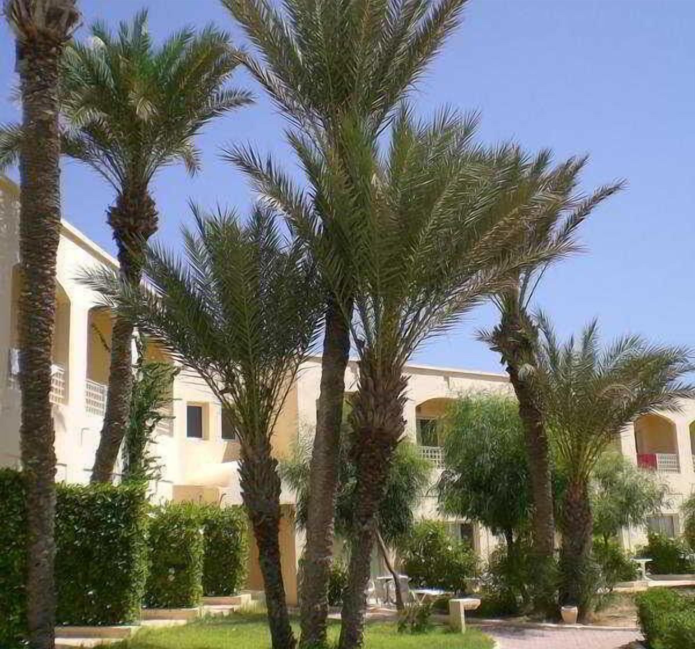 Jardín