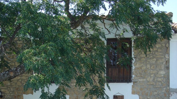 A stone building with a pool, outdoor seating, and potted plants. - Cortijo Molino Los Justos (Algarinejo)
