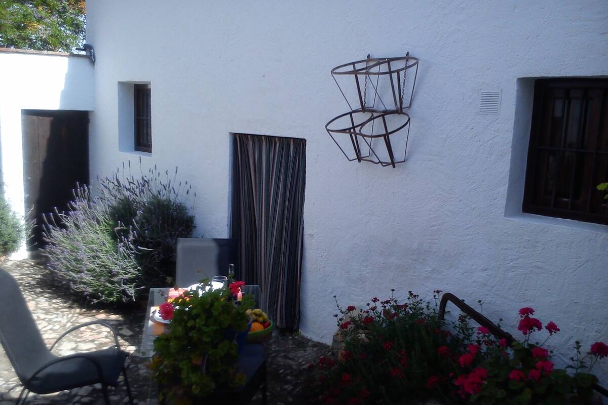 Un edificio blanco con una ventana, una puerta y una lámpara metálica. Hay plantas y flores en la fachada.