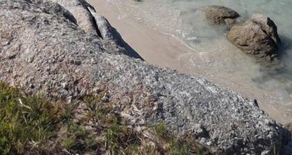 Harbour Heights Villa