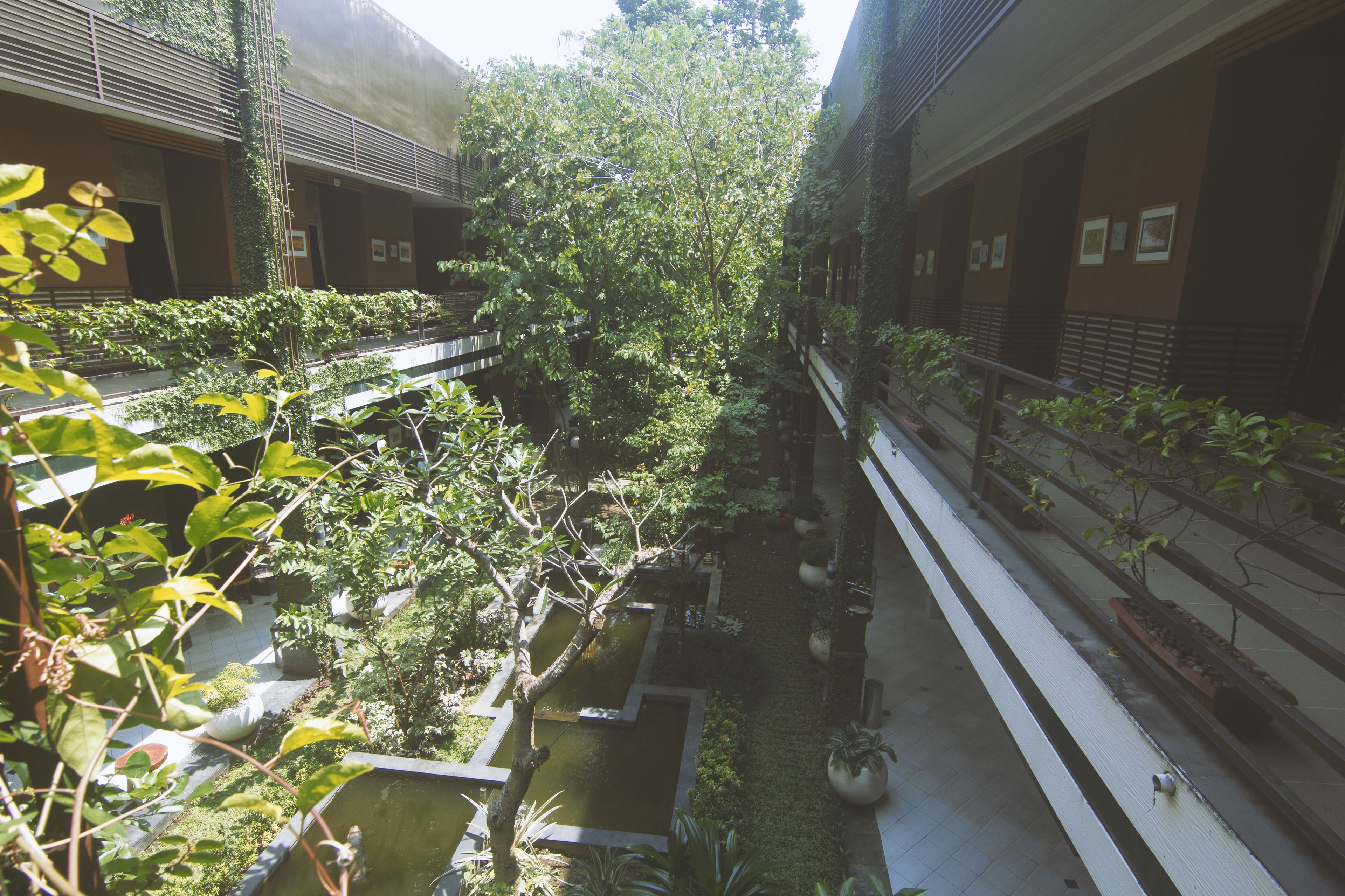 A courtyard with a central water feature, surrounded by potted plants and trees.