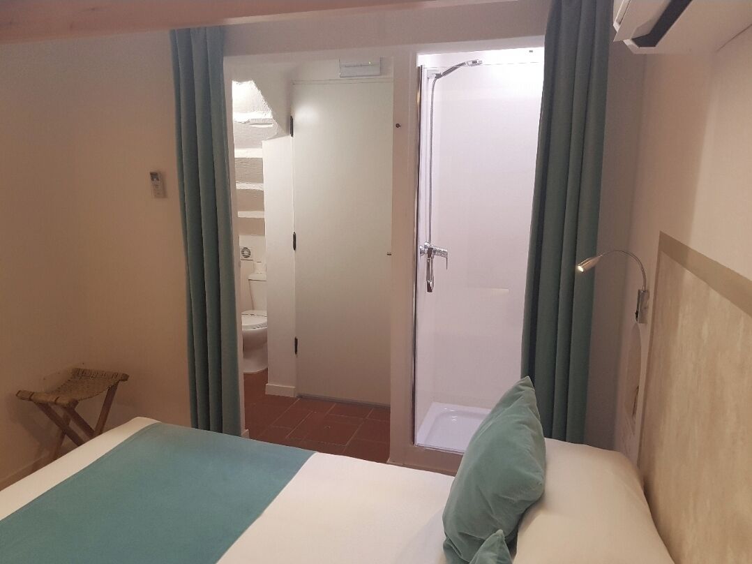 Una habitación de hotel con cama, ducha y vista al baño.