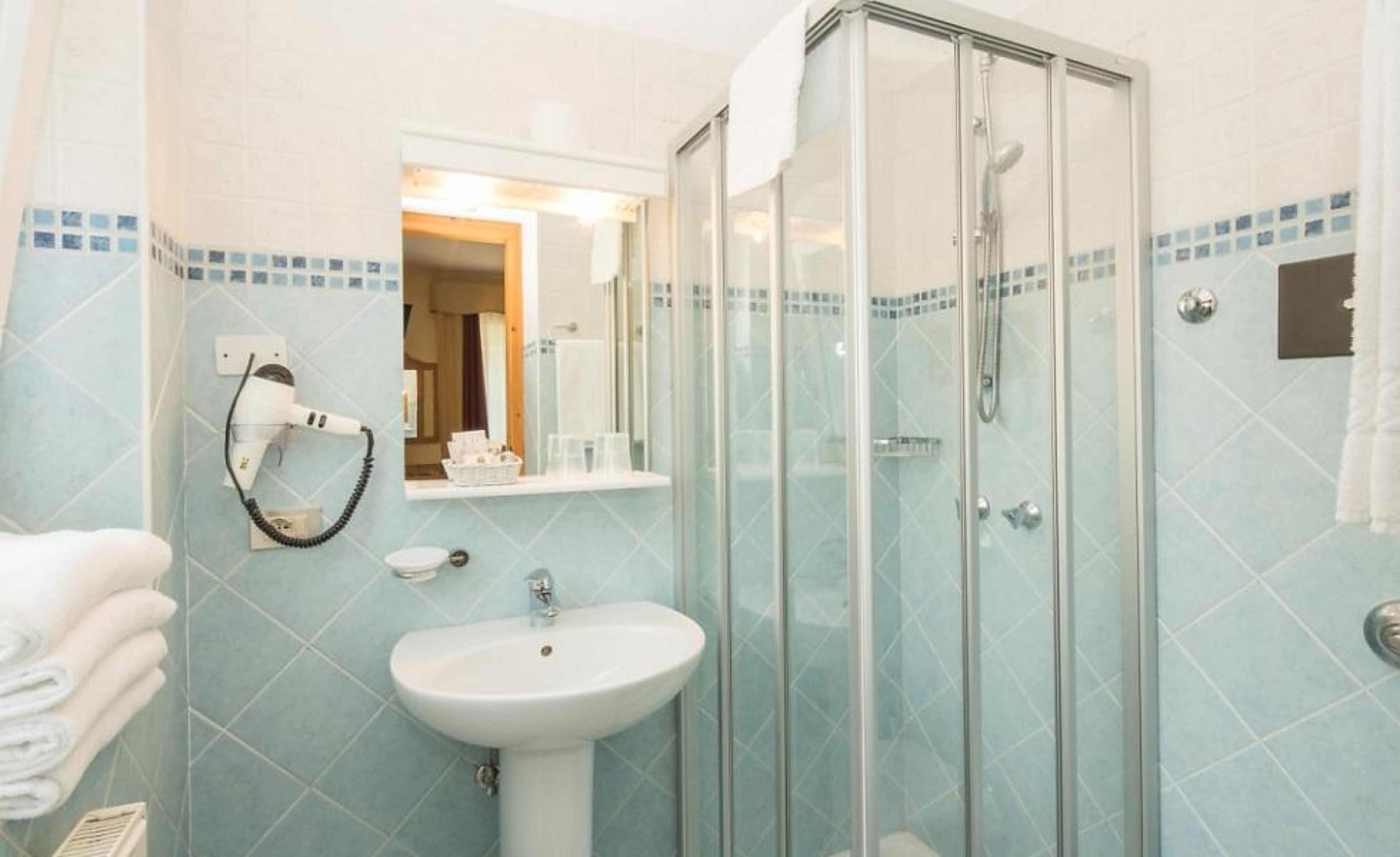 shower, free toiletries, hair dryer, towels