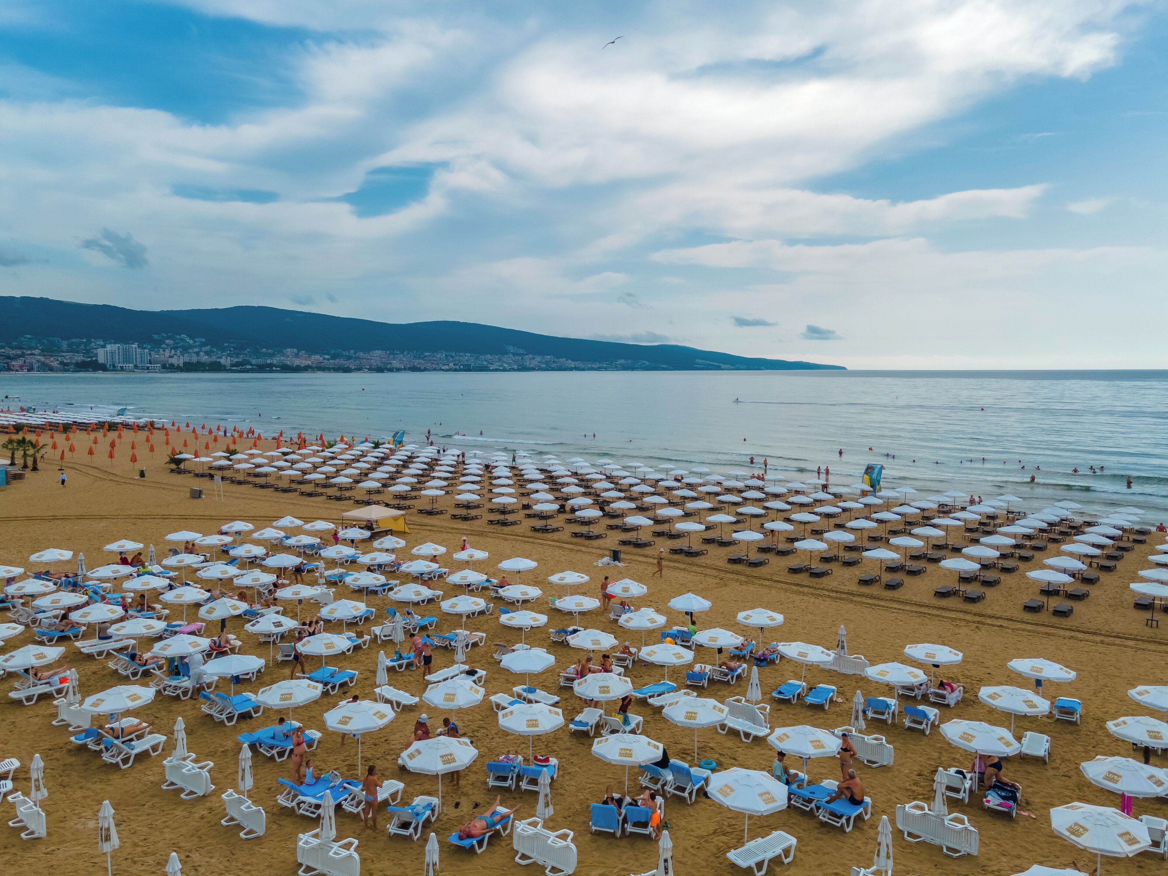 Una playa con numerosas sombrillas blancas y tumbonas dispuestas en filas.