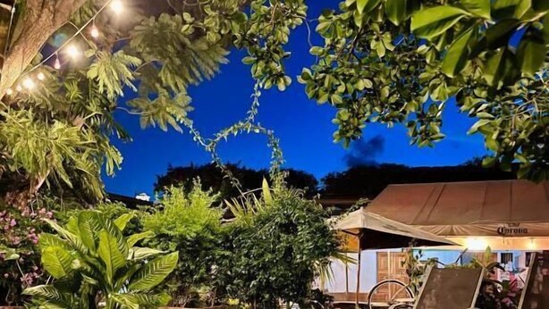 An outdoor garden area with potted plants, a seating area with chairs, and a Corona-branded umbrella. - Hostal Antigueño - Hostel (Antigua Guatemala)